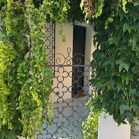 Apartamento With Two Bedrooms And Wifi Toulouse